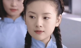 董洁演过的电视剧,从清纯玉女到演技派女神的蜕变之路