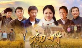 初婚电视剧全集,情感纠葛与时代变迁的交织