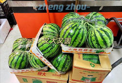 郑州吃瓜爆料视频大全最新,一网打尽城市热点事件