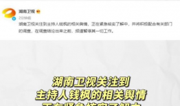 娱乐圈吃瓜爆料名字缩写,揭秘“瓜名缩写”背后的明星秘密